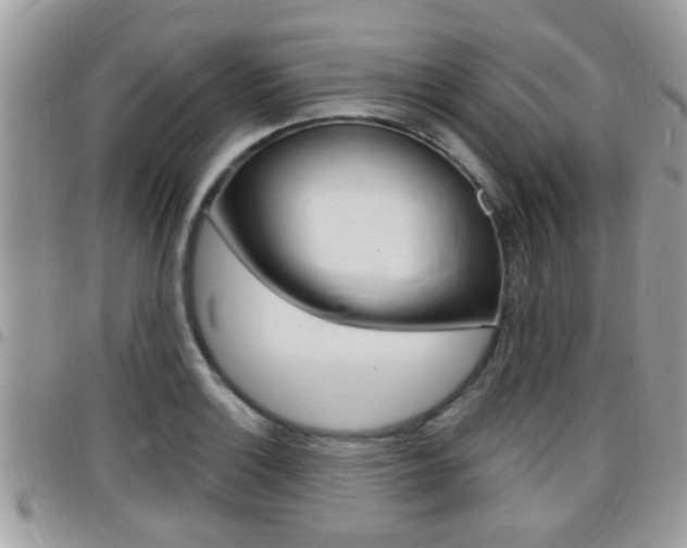 X0000096151132200801180823