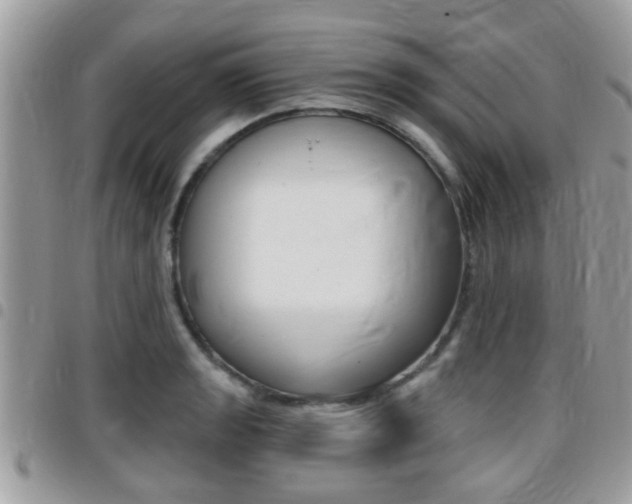 X0000096151133200801180823