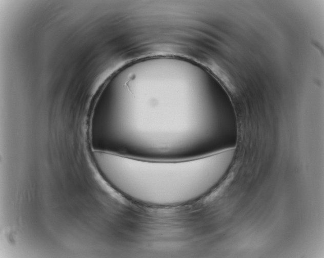 X0000096151134200801180823