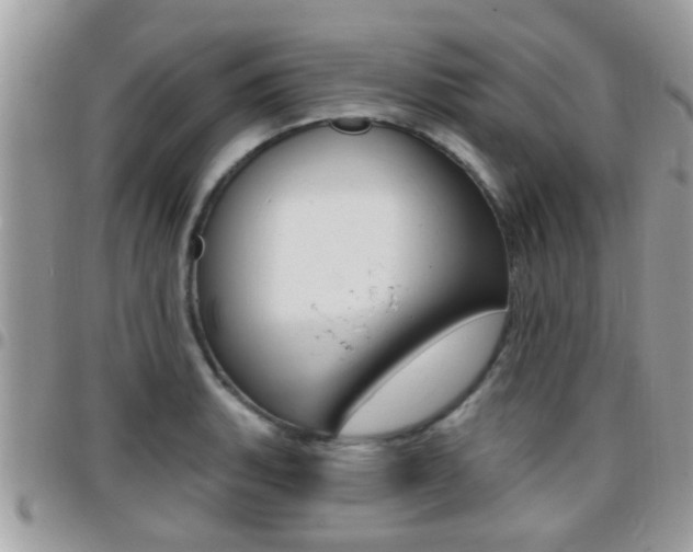 X0000096151135200801180823