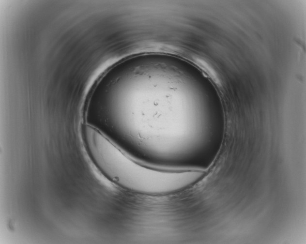X0000096151136200801180823