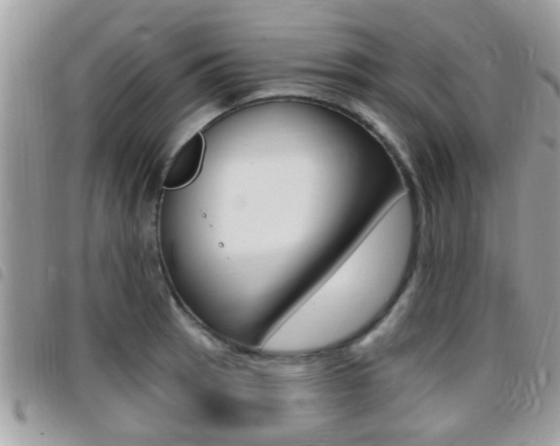 X0000096151137200801180823