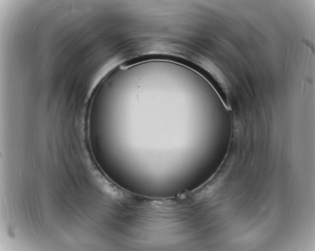 X0000096151138200801180823