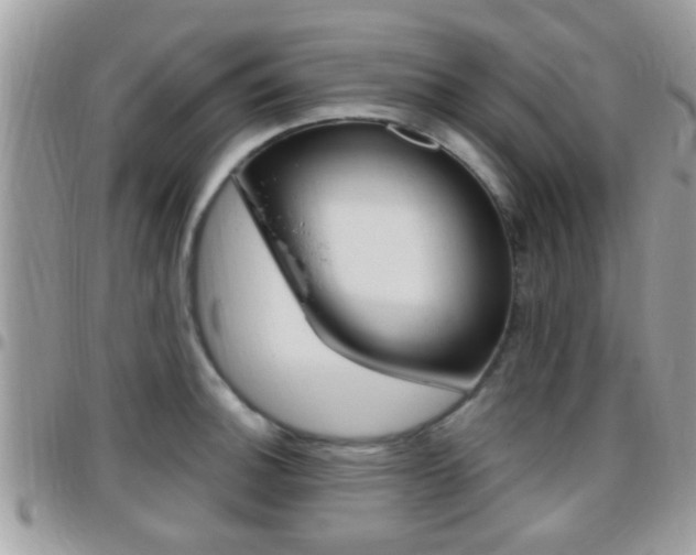 X0000096151140200801180823