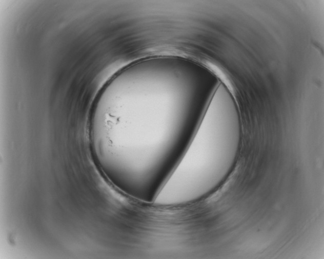 X0000096151141200801180823