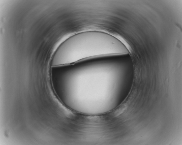 X0000096151142200801180823