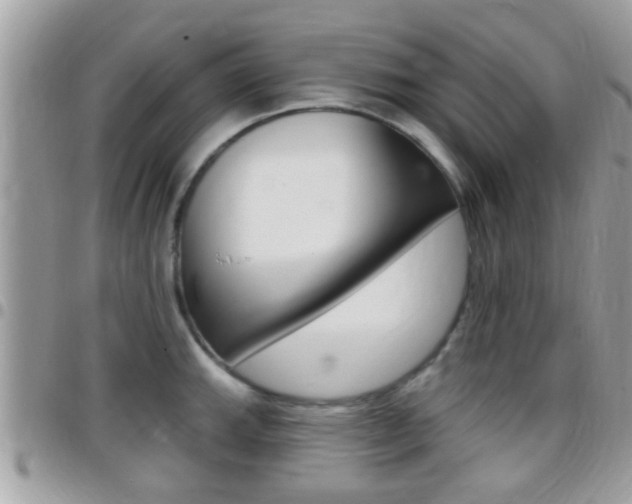 X0000096151143200801180823