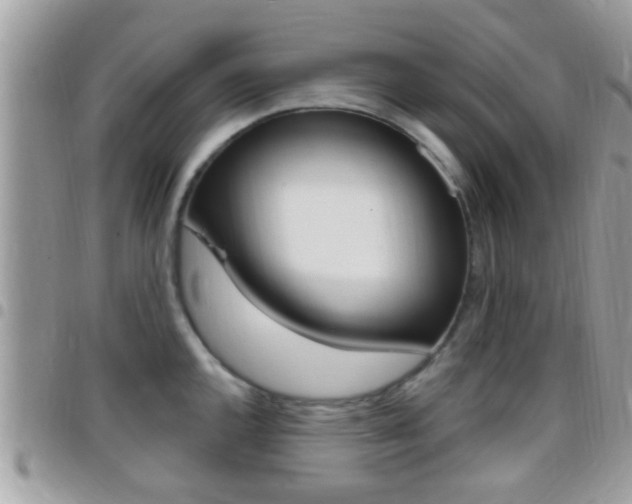 X0000096151144200801180823