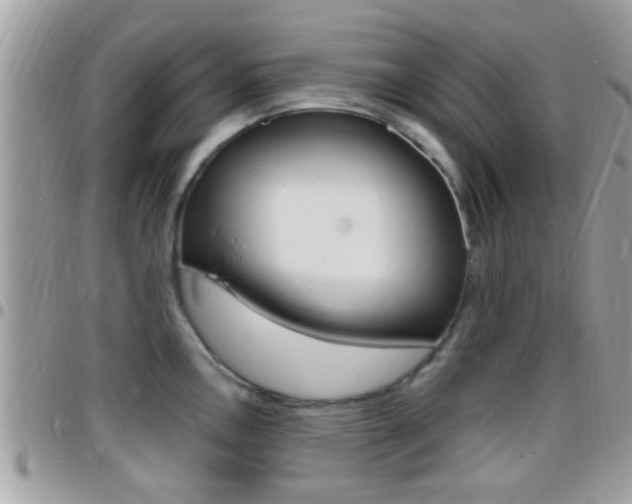 X0000096151146200801180824