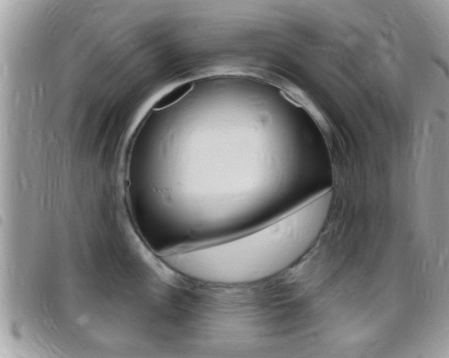 X0000096151148200801180824