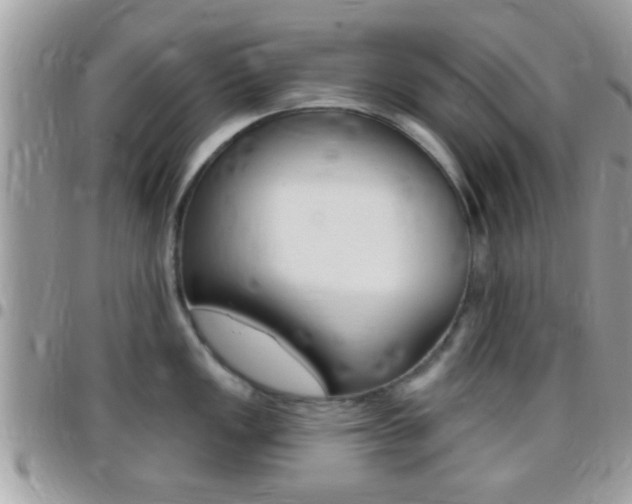 X0000096151149200801180824