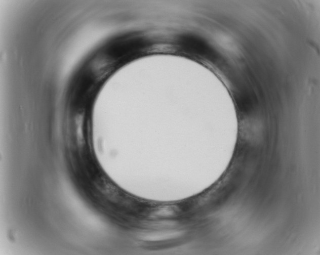 X0000096151150200801180824