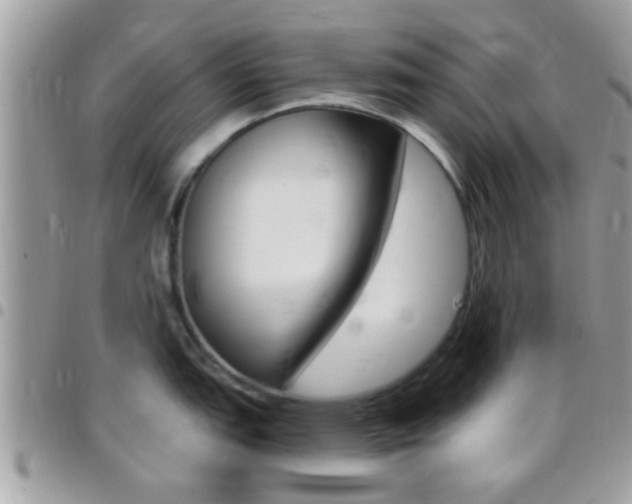 X0000096151151200801180824