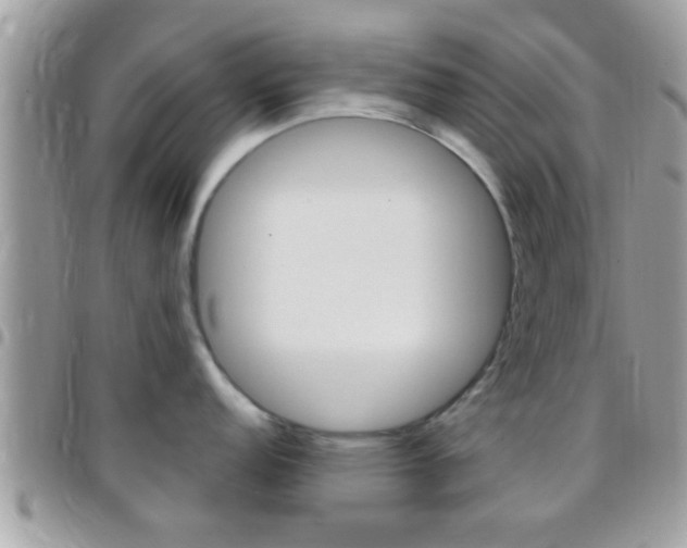 X0000096151152200801180824