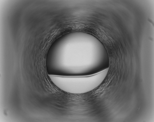 X0000096151153200801180823