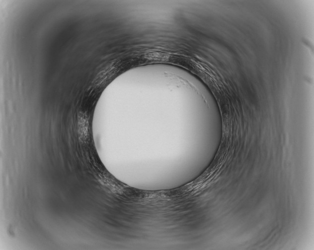 X0000096151154200801180823