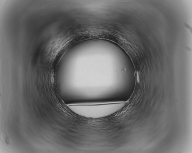X0000096151155200801180823