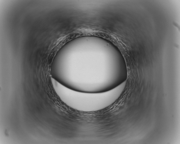 X0000096151157200801180823