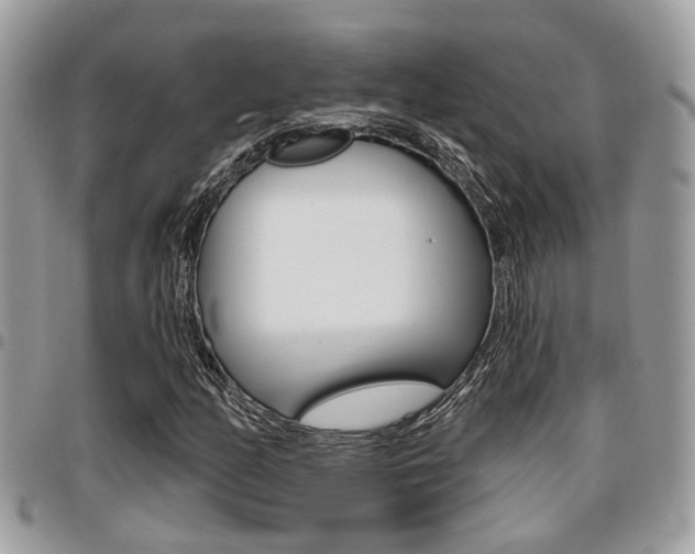X0000096151158200801180823