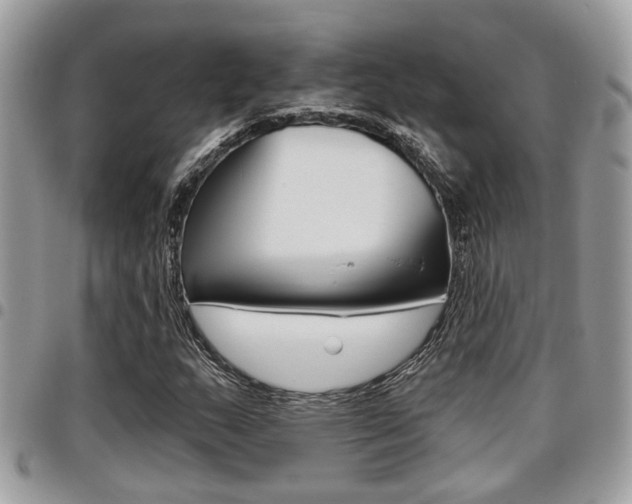 X0000096151159200801180823