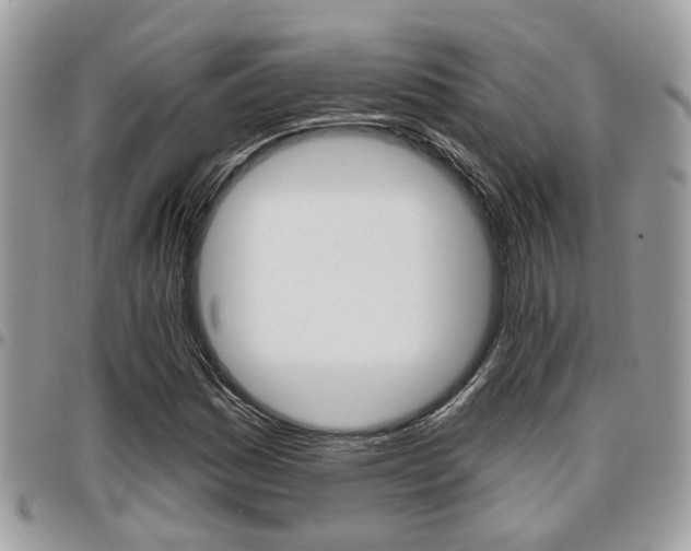 X0000096151161200801180823