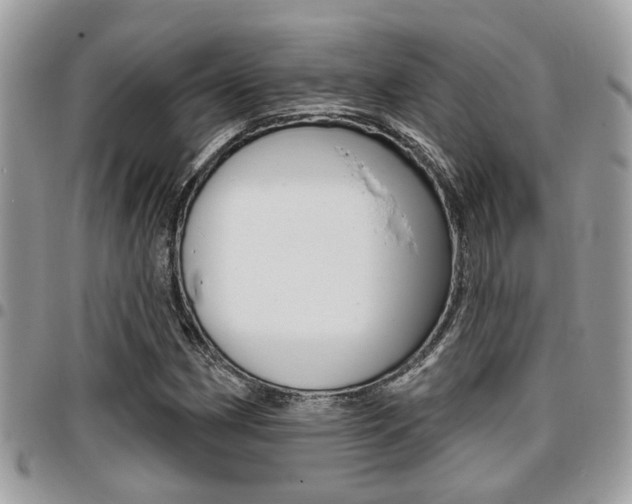 X0000096151162200801180823
