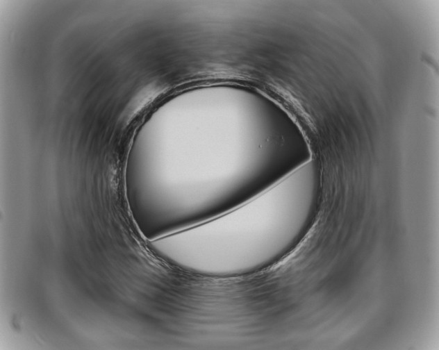 X0000096151163200801180823