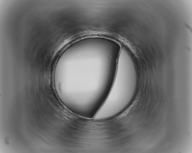 X0000096151165200801180823