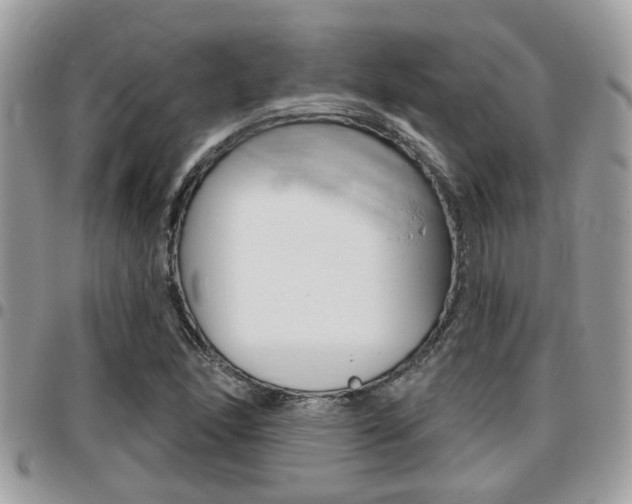 X0000096151166200801180823