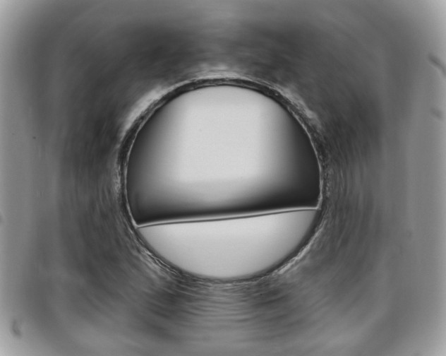 X0000096151167200801180823