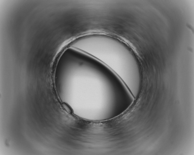 X0000096151168200801180823