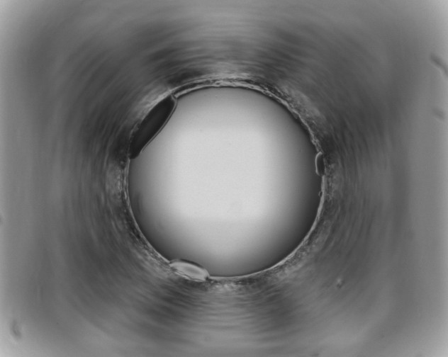 X0000096151169200801180823