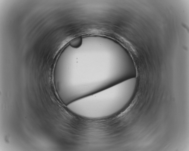 X0000096151170200801180823