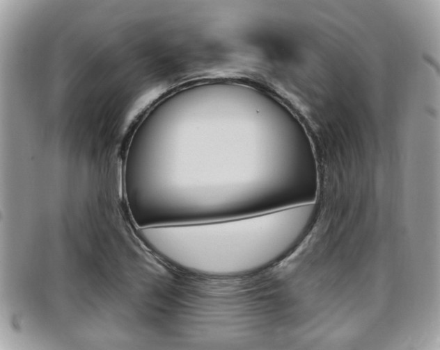 X0000096151171200801180823