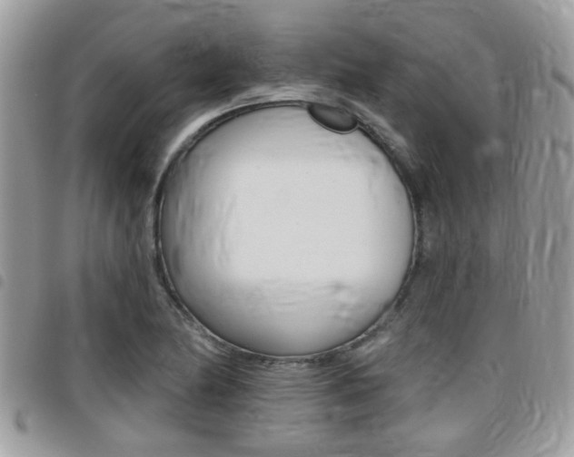 X0000096151174200801180822