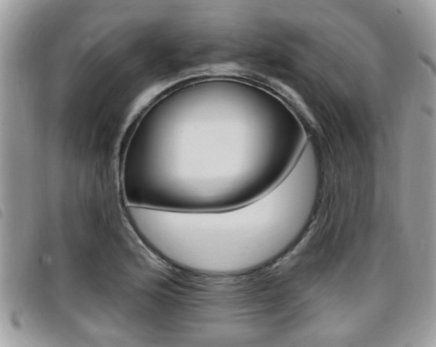 X0000096151176200801180822