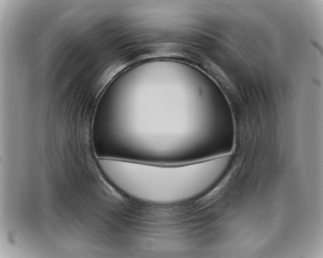X0000096151177200801180822