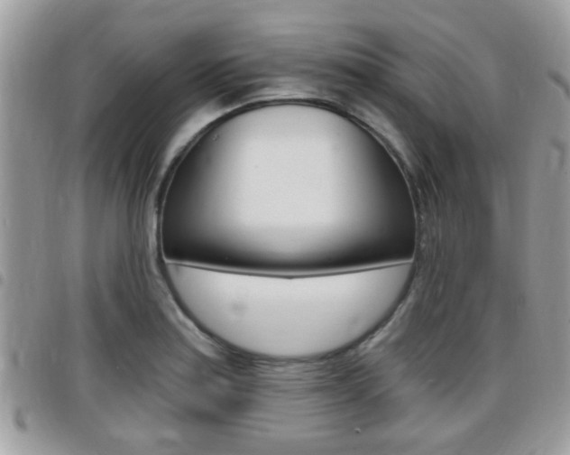 X0000096151179200801180822