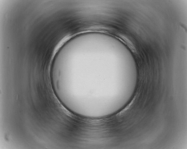 X0000096151180200801180822