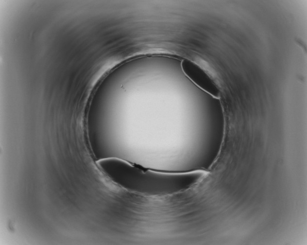 X0000096151181200801180822