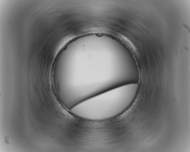 X0000096151182200801180822