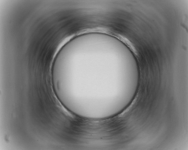 X0000096151184200801180822
