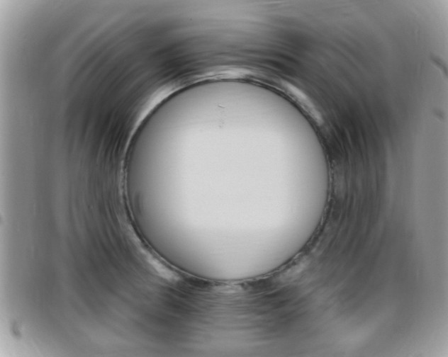 X0000096151186200801180822