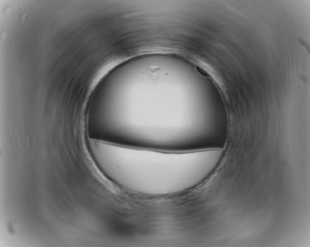 X0000096151187200801180822