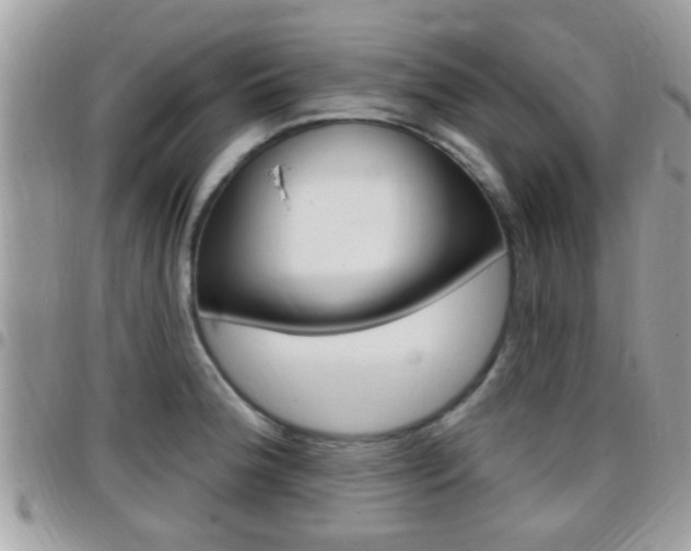 X0000096151188200801180822
