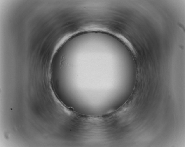 X0000096151191200801180822