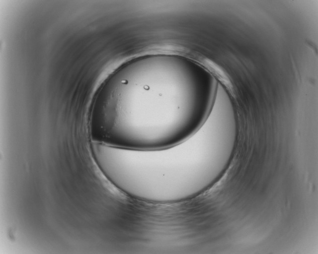 X0000096151192200801180822
