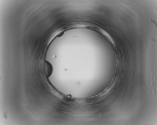 X0000096151194200801180822