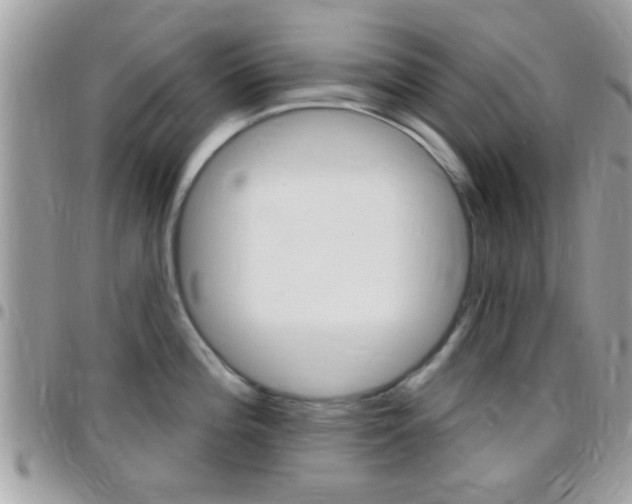 X0000096151196200801180822