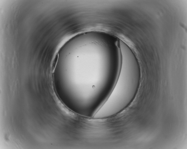 X0000096151200200801180822